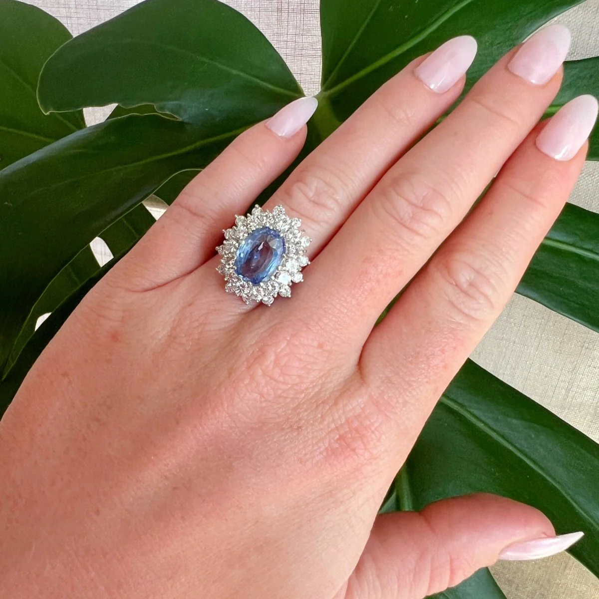 Bague Pompadour Saphir Ceylan 4,67 carats et Diamants - Image 3