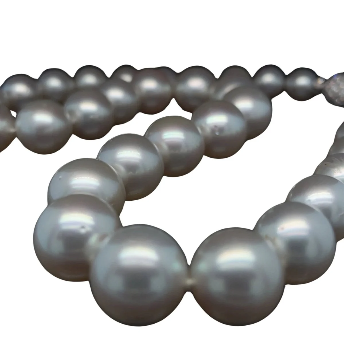Collier de perles blanches d'Australie - Image 11