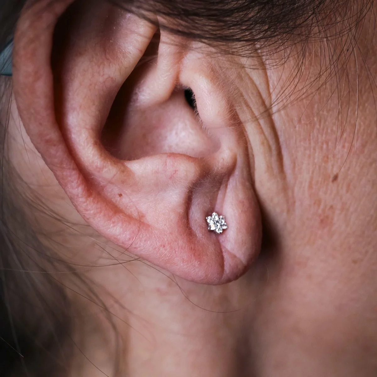 Boucles d'oreilles Puces en or blanc et diamants - Image 2