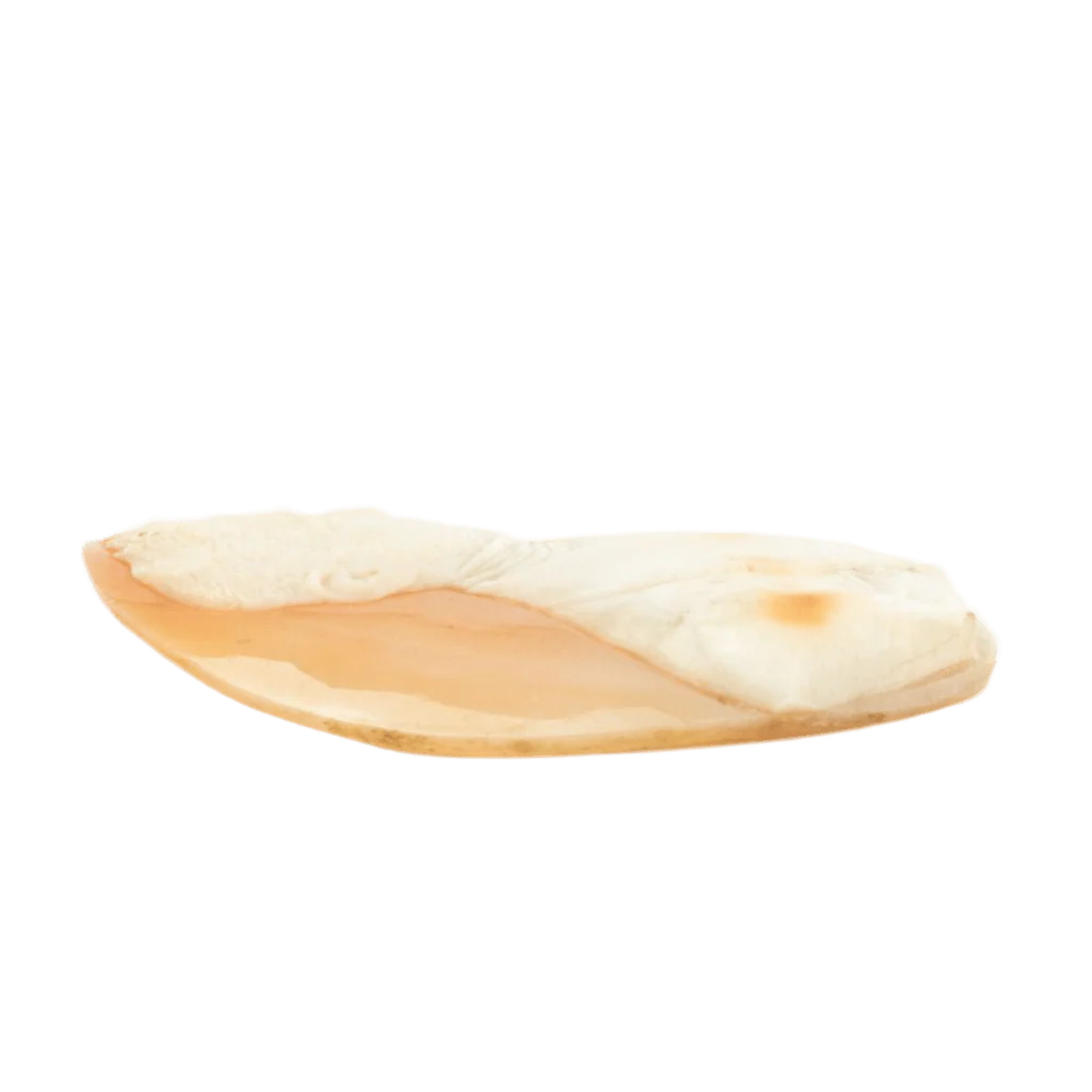 Broche Camée en Coquille Bibouche - Image 3