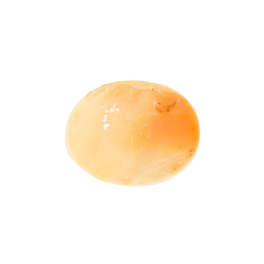 Broche Camée en Coquille Bibouche - Image 4