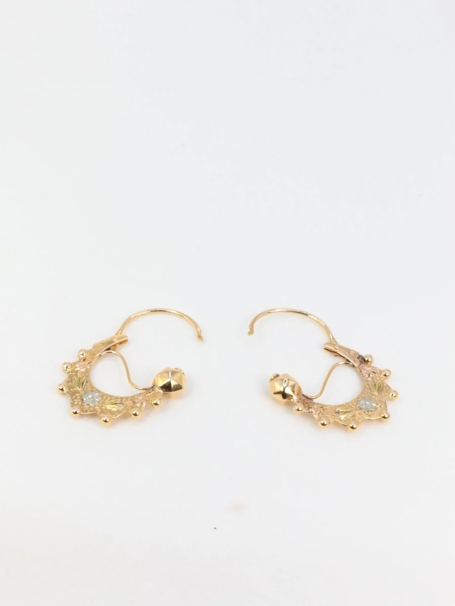 Paire de créoles savoyardes anciennes ou Tarines en or jaune - Image 6